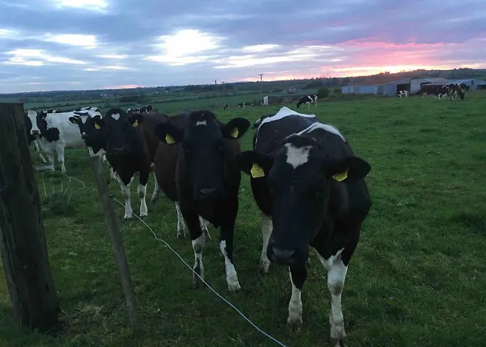 Lägenhet The Grasslands Home, *